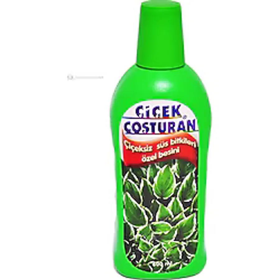 Çiçek Coşturan 1200 Çiçeksiz Süs Bitkileri İçin