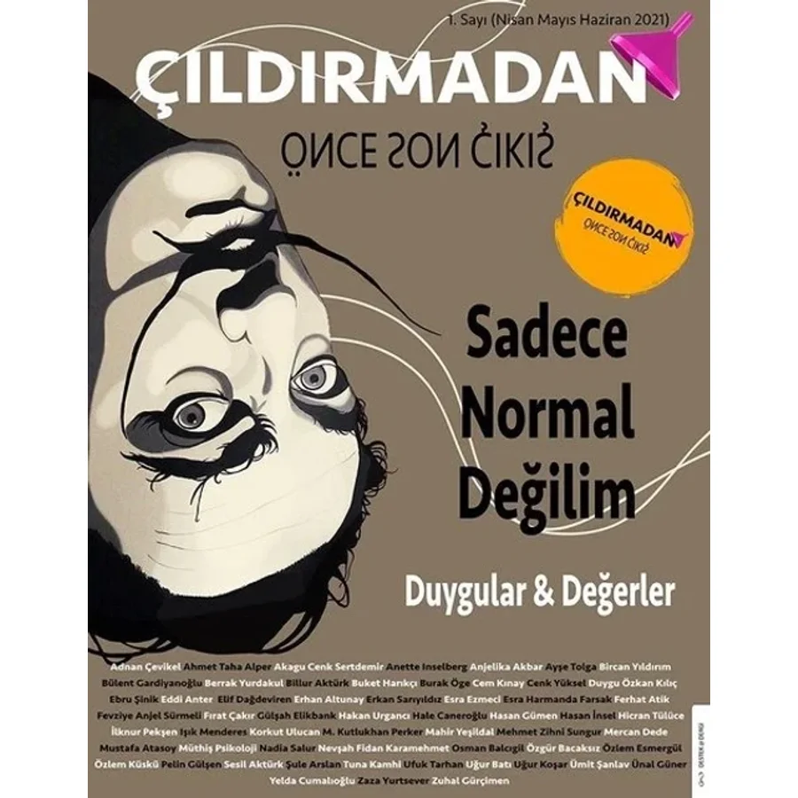 Çıldırmadan Önce Son Çıkış 1 - Duygular ve Değerler - Kolektif