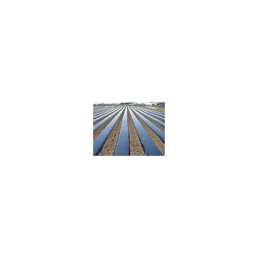 Çilek Naylonu Malç Örtüsü 50 Mikron Siyah Sebze Örtüsü Uvli 1. Kalite 100 X 20 Mt