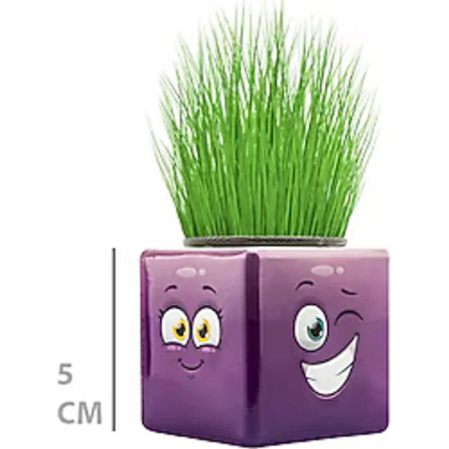 Çim Adam Mini Küp Emoji Figürlü 1 Adet