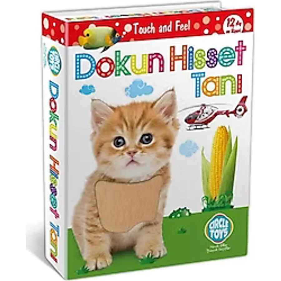 Circle Toys Dokun Hisset Tanı Kartları