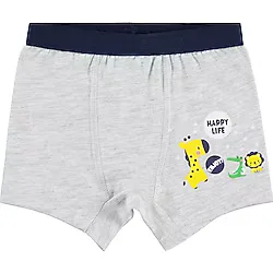 Civil Baby Erkek Bebek Boxer 98 Ay Gri