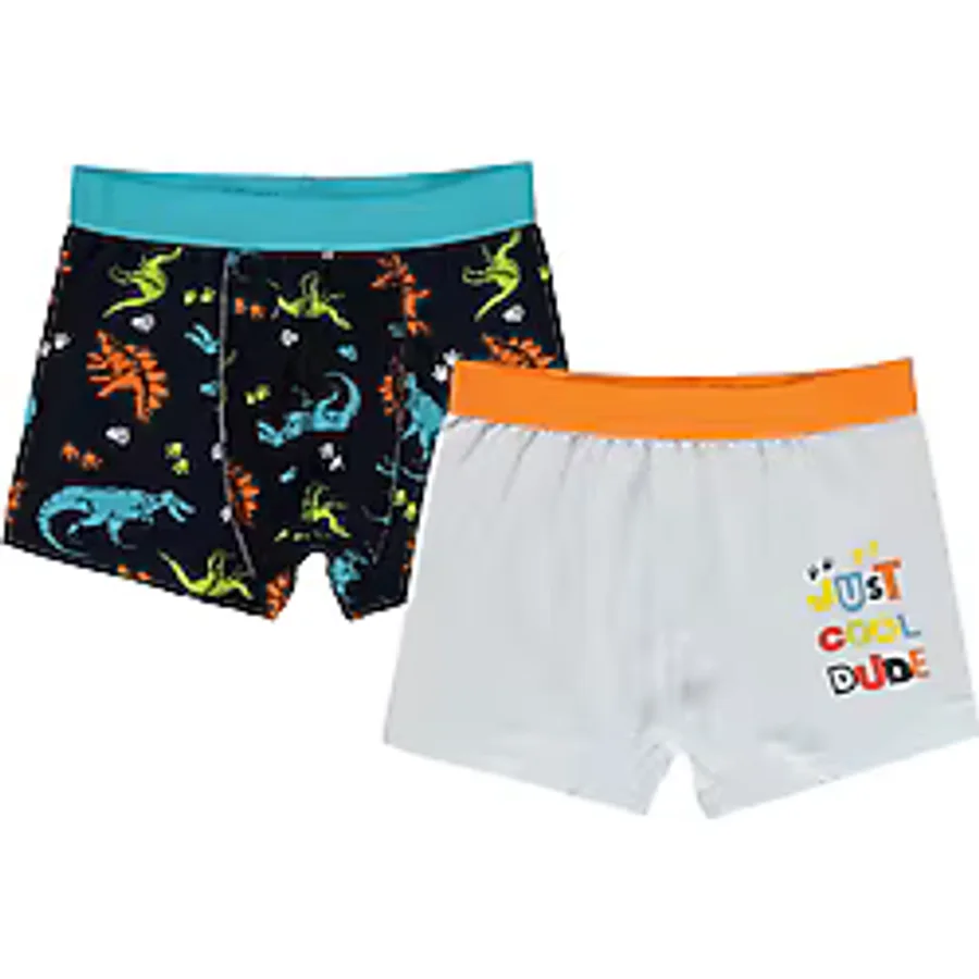 Civil Boys Erkek Çocuk 2'li Boxer Set 2-10 Yaş Standart