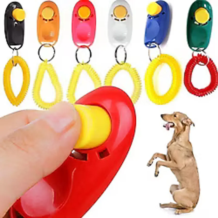 Clicker Köpek Çağırma