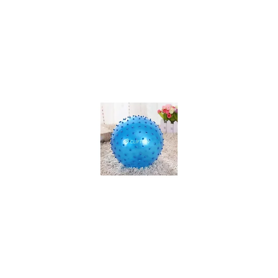 Clifton Dikenli Yoga Pilates Aeorobik Jimnastik Topu 65 cm Mor+ Pompa