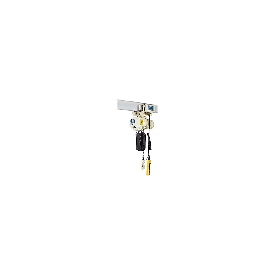 CMC 2 TON 4 HAREKETLİ ELEKTRİKLİ ÇİFT ZİNCİR CARASKAL VİNÇ