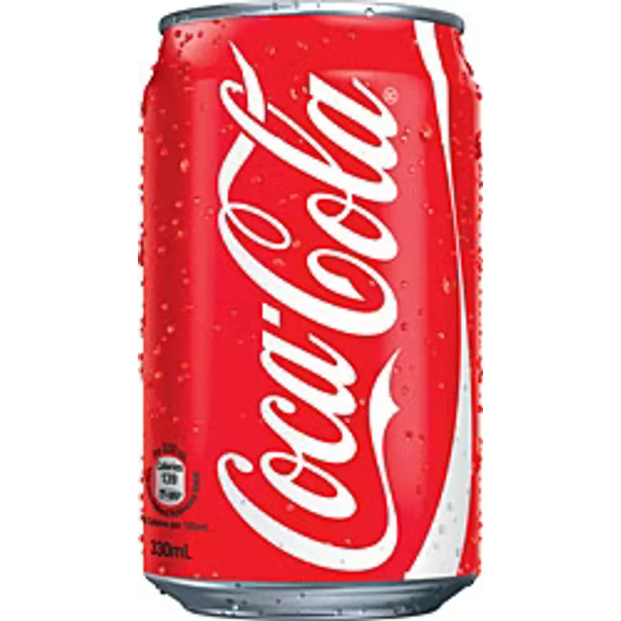 Coca Cola 330 ml 24'lü