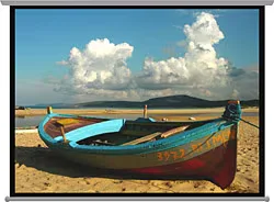 Codegen AX-24 240x200 Projeksiyon Perdesi