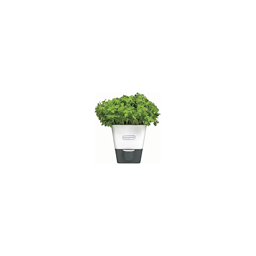 Cole & Mason H105249 Yeşillik Saklama Kabı