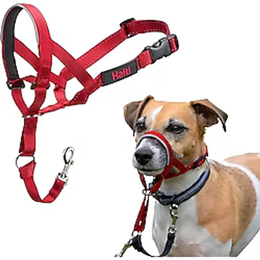 Company of Animals Halti Baş Tasması - Dolgulu Burun Bandı, Ayarlanabilir ve Yansıtıcı, Küçük Köpekler İçin Profesyonel Çekme Önleyici Eğitim Yardımcısı (Boyut 1, Kırmızı)