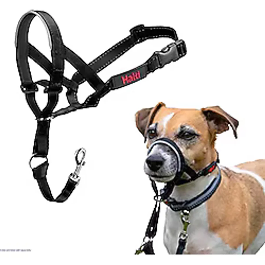 Company of Animals Halti Baş Tasması, Dolgulu Burun Bandı, Ayarlanabilir ve Yansıtıcı, Küçük Köpekler İçin Profesyonel Çekme Önleyici Eğitim Yardımcısı (Boyut 0, Siyah)