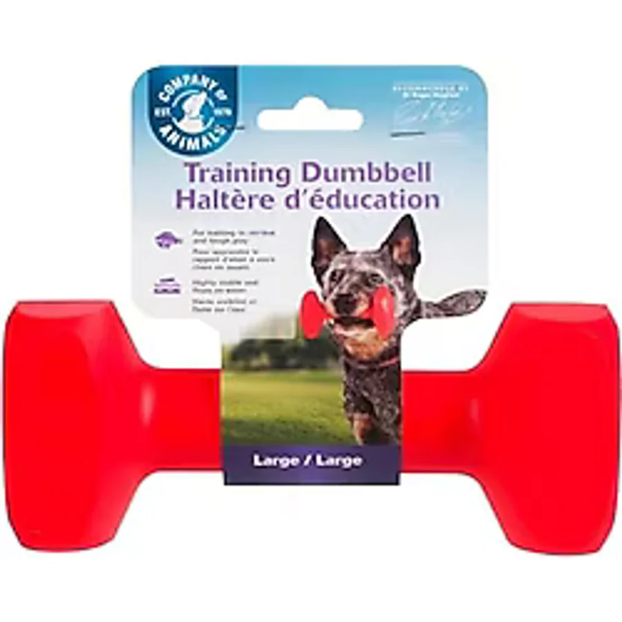 Company of Animals Köpekler için Eğitim Dambılı - En Iyi Köpek Eğitim Ekipmanı, Bulup Getirme Köpek Oyuncağı, Yüzer, Yüksek Görünürlük, Av Köpeği ve Yavru Köpek Eğitimi, Küçük (L Boy)
