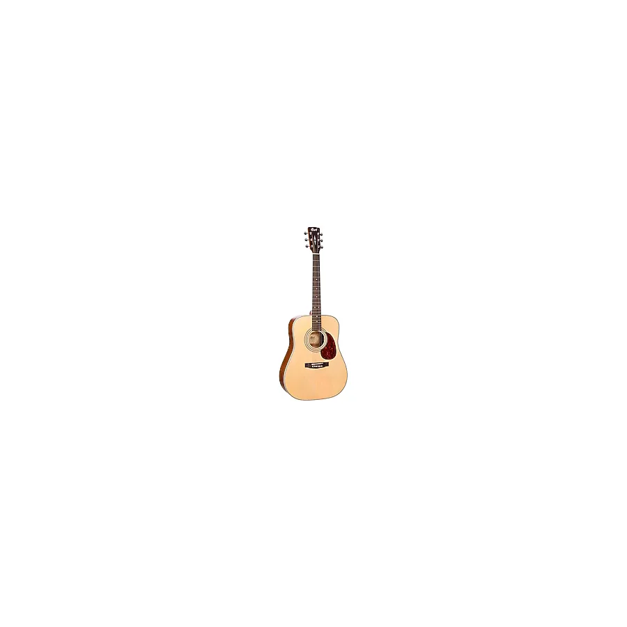 Cort EARTH70OP Open Pore Akustik Gitar