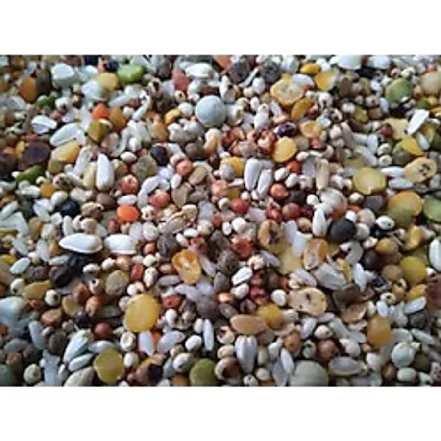 CP 10 kg Lüks Karışık Papağan Güvercin yemi Kılçıksız Süper Karışım Tozsuz