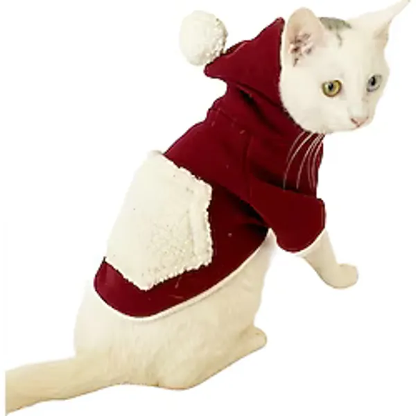 Cream Bordo Sweatshirt Kedi Süeteri Kedi Kıyafeti