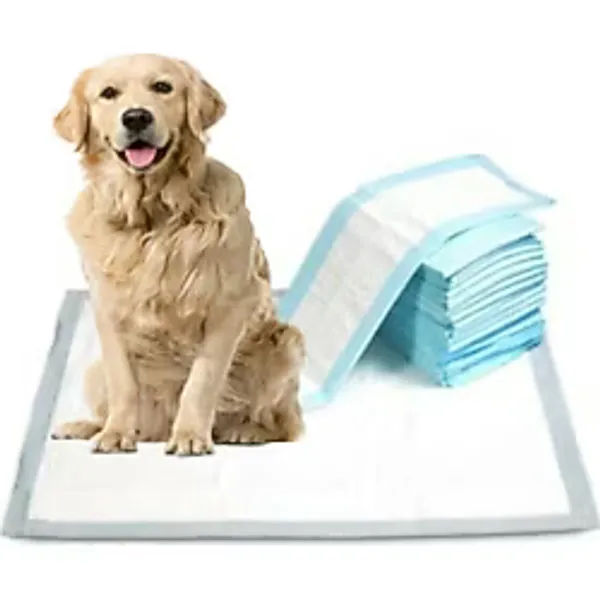 Csr Kedi Köpek Çiş Pedi 60x90 30'lu