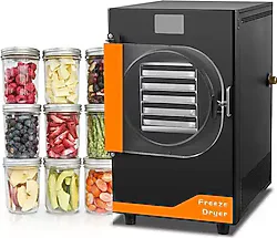 Dalle DFD-10 Freeze Dryer Meyve Kurutma Makinesi