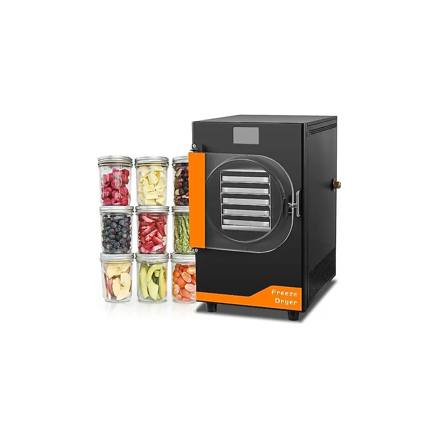 Dalle DFD-10 Freeze Dryer Meyve Kurutma Makinesi