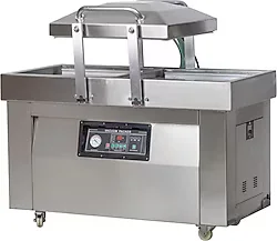 Dalle DZ-400/2SD Vakum Makinesi