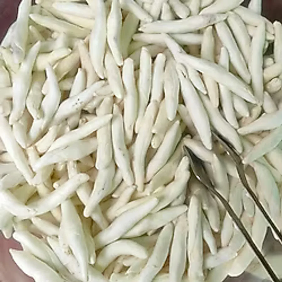 Darende Kayısı Dünyası Doğal Darende Kenger Sakızı 5'li Paket - Katkısız Bitkisel Sakız