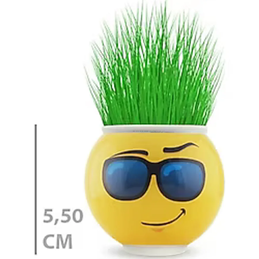 Datatek Çim Adam Saksı Emoji Figürlü 1 Adet