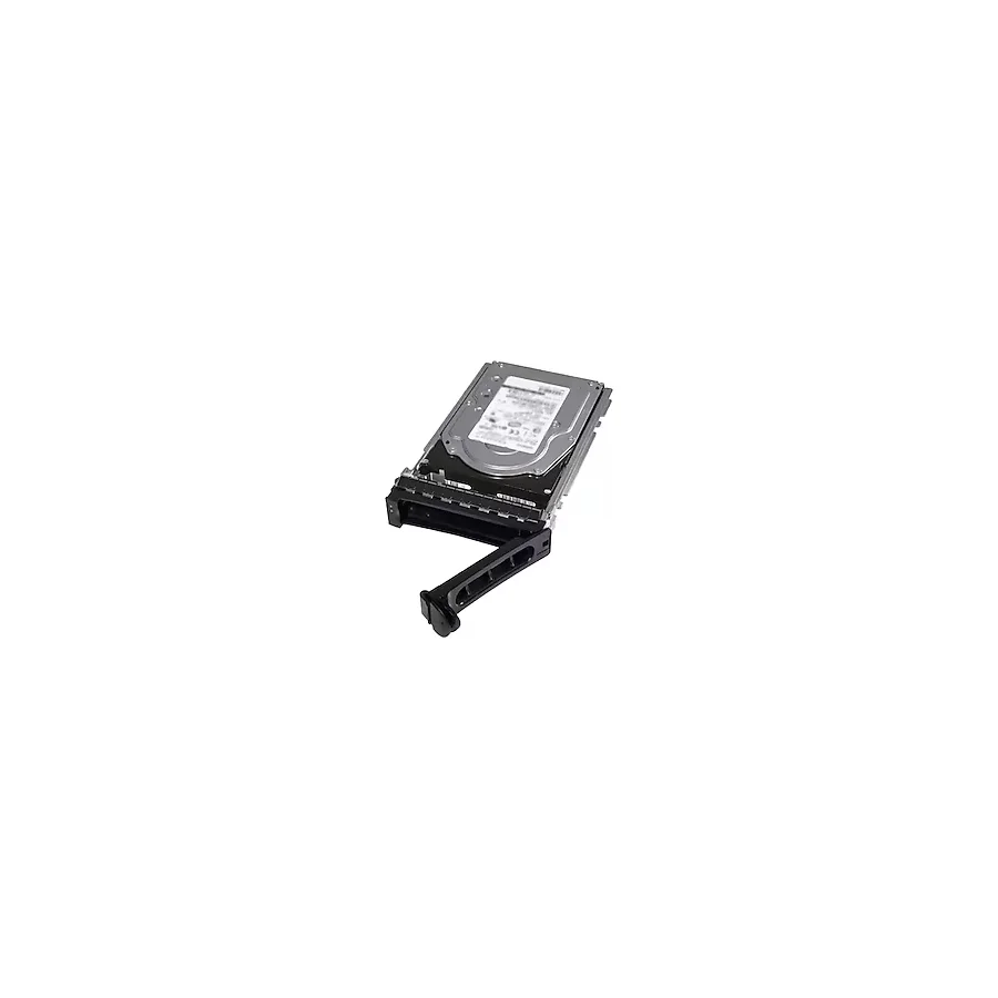 Dell 400-BLLG 2 TB 7.2K 3.5" Sunucu Sabit Disk