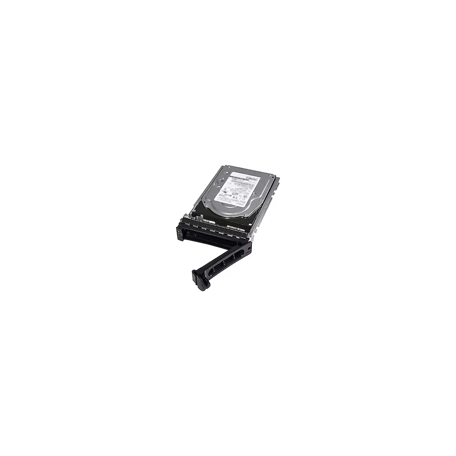 Dell 480 GB 345-BGVP 2.5" Sunucu Sabit Disk