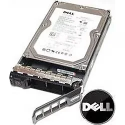 Dell 600 GB 13025H15SAS-600G Sunucu Sabit Disk