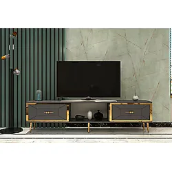DEMONTE DECOR ARNODD TV SEHPASI ANTRASİT-ALTIN