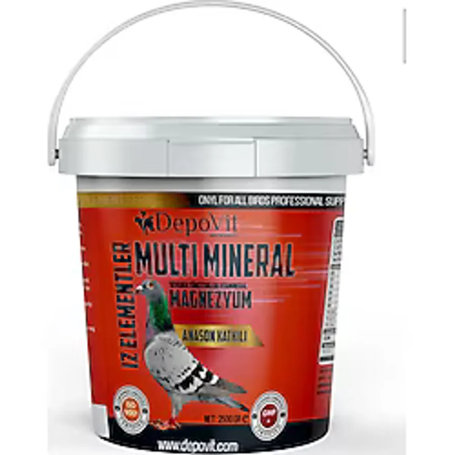 DEPOVİT Depovit Multi Mineral Kırmızı Vitamin 2,5 Kg Kova