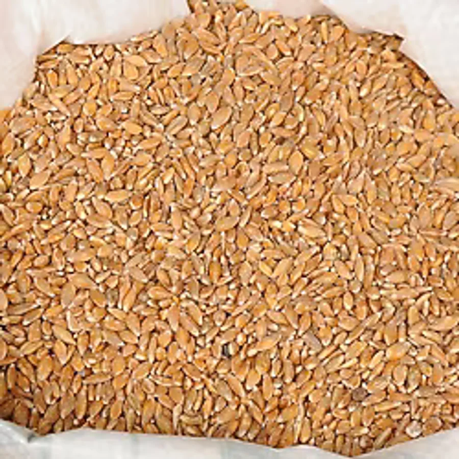 Devrekani Deva Siyez Buğdayı (Taneli Kabuksuz) 5 kg