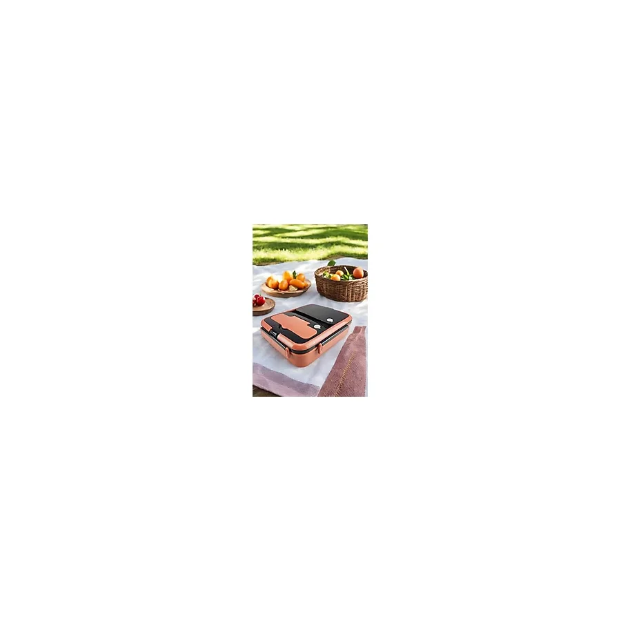 Digithome Bölmeli Çelik Hazneli Yemek Kabı 25 Cm Mavi - YK1392
