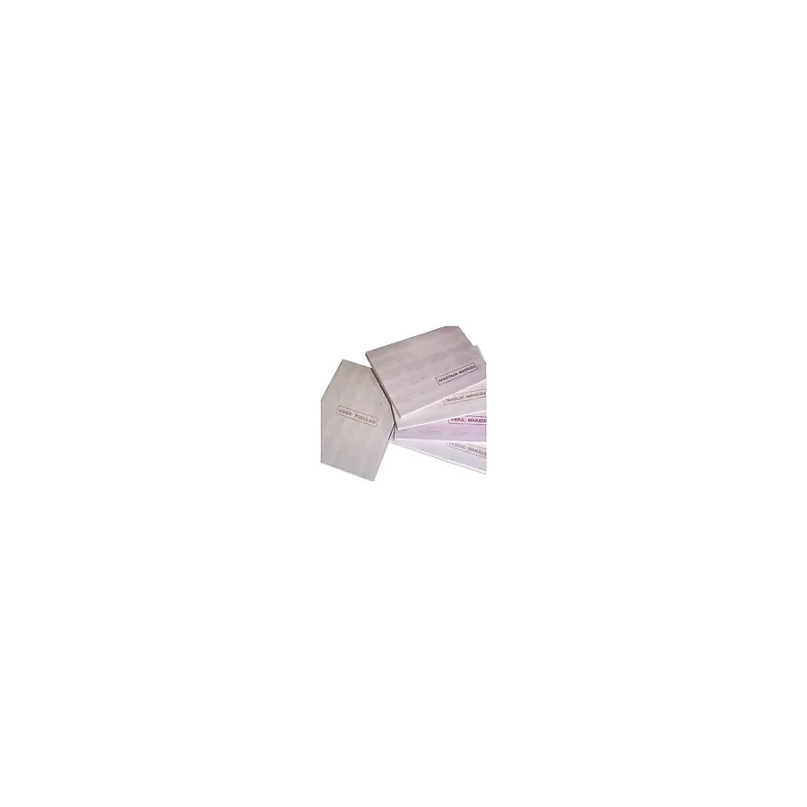 Dilman Para Makbuzu Otokopili 2 Nüshalı 9.3 X 13.3 Cm - 2 X 50 Yaprak