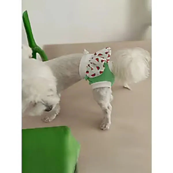 Dişi Köpek Regl Külodu - Ayarlanabilir, Yıkanabilir, Hijyenik Köpek Külodu - Yeşil - S