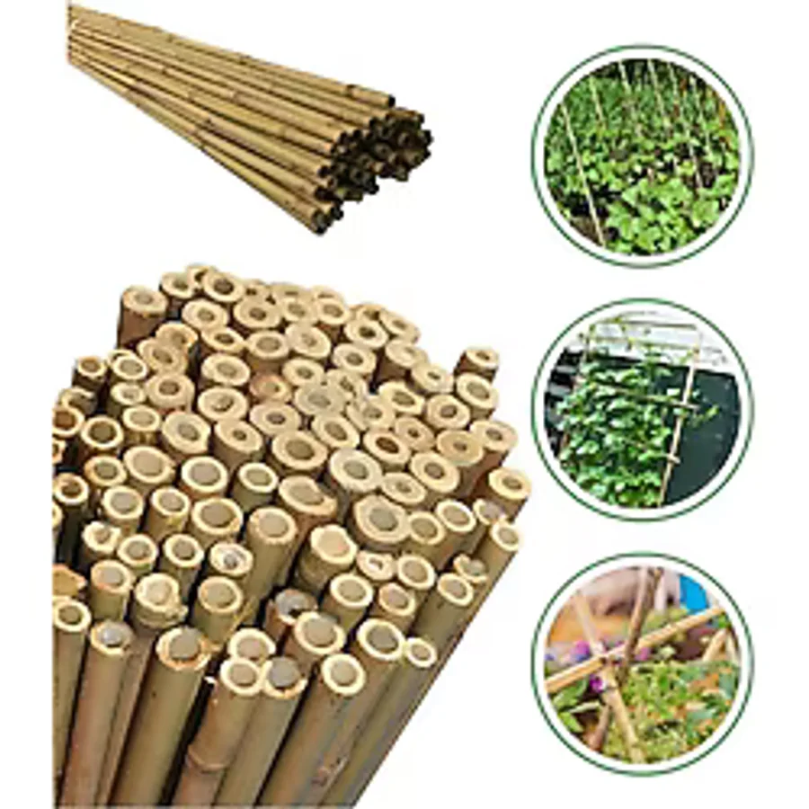 DOĞA FİDANCILIK 50 Adet Bambu Bitki Fidan Destek Çubuğu 1,5 Metre