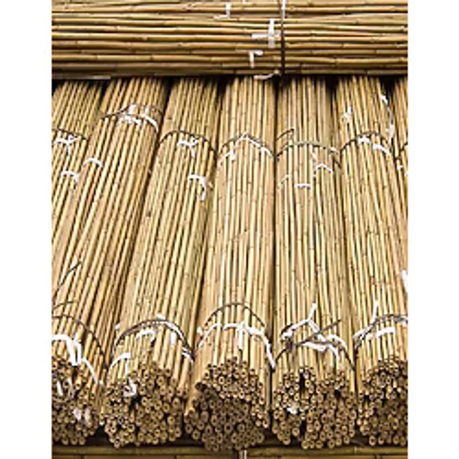 DOĞA FİDANCILIK 50 Adet Bambu Bitki Fidan Destek Çubuğu 190 - 200 Cm