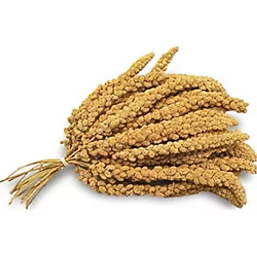 Doğal Dal Darı 250 Gr