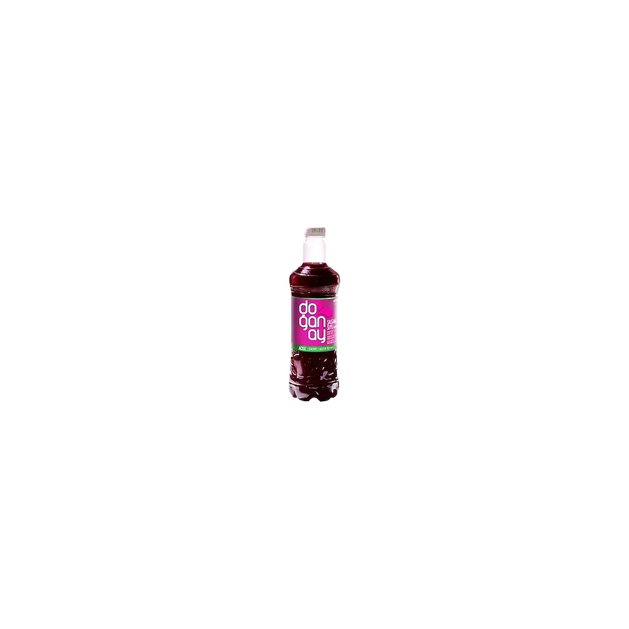 Doğanay Şalgam Suyu 1 lt Tatlı x 12