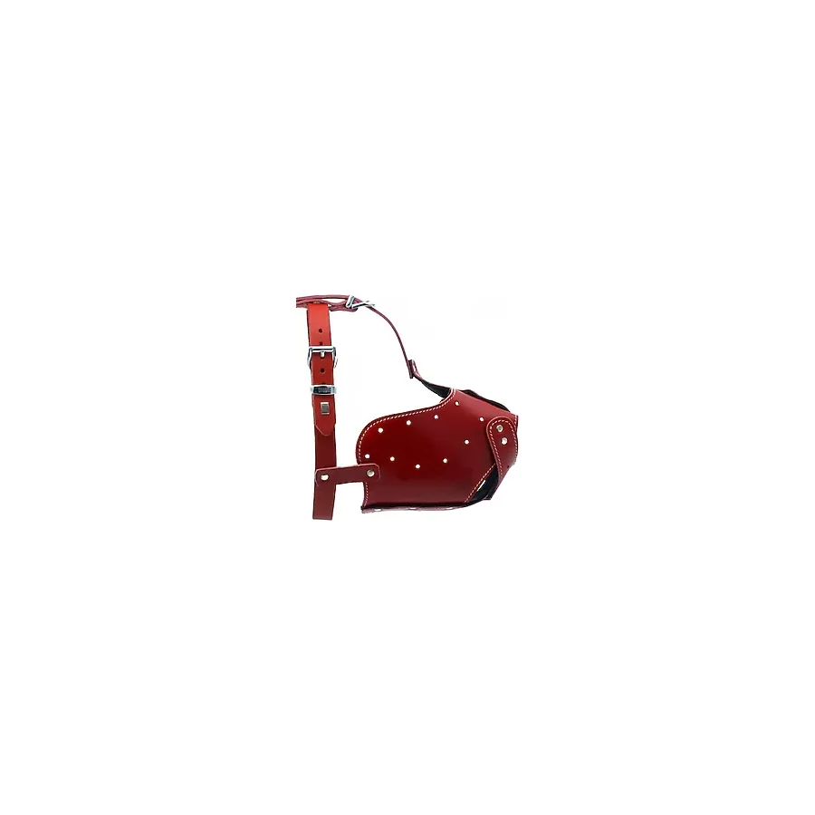 Doggie Eğitim Serisi Gerçek Deriden El Yapımı Uzun Burunlu Köpek Ağızlığı XL-2x60-65cm Kırmızı