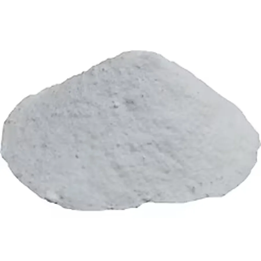 Domates Salça Turşu Koruyucu Tozu Salisilik Asit 100 Gram
