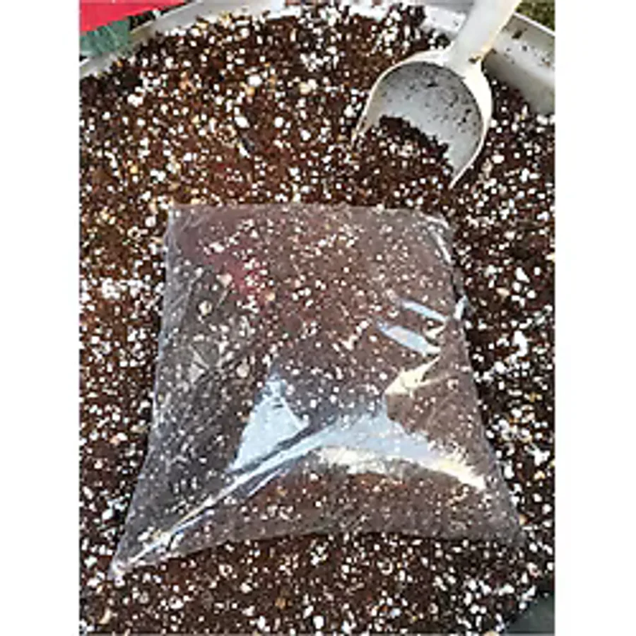 Durutasarım Kaktüs Topragı Çok Özel Kaışım Garanti Içeriktir Taş Kaktüs Lithops Aloe Vera 4 Litre