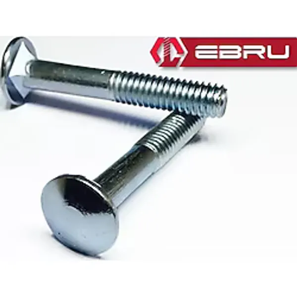 Ebru Kasa Civata 1/4X40 200 Adet - 1/4x40