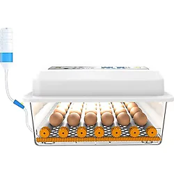 Efe Kuluçka Kaz Yumurtası Uyumlu Kuluçka Makinesi