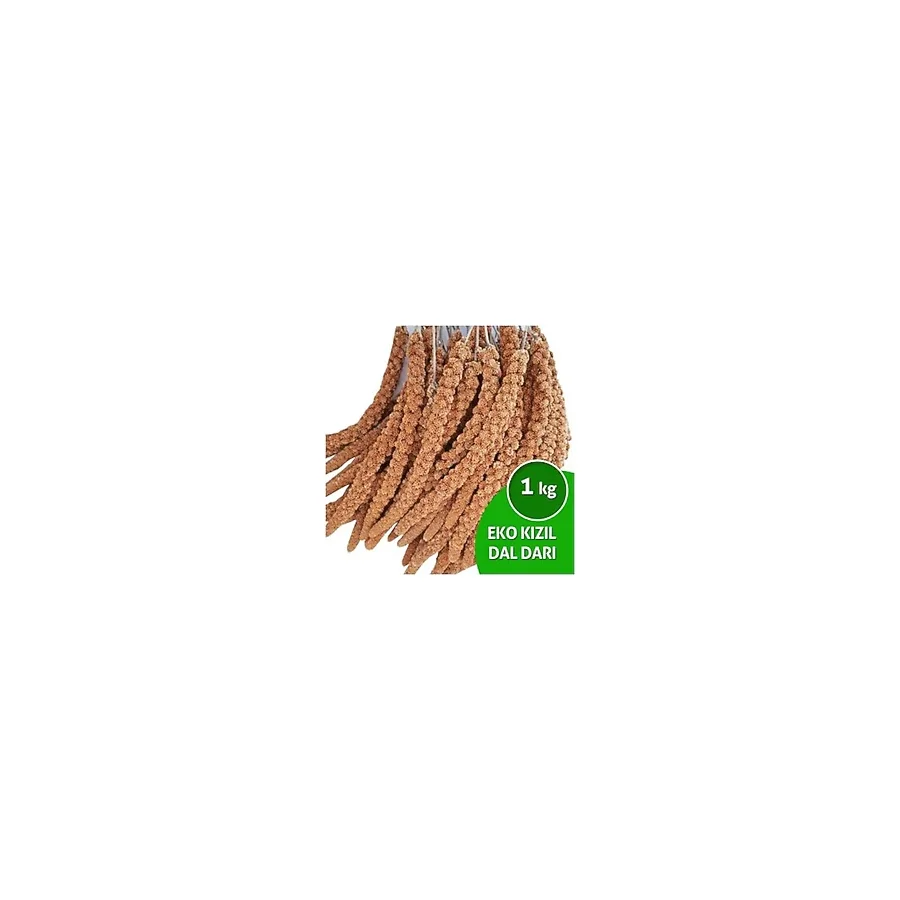 Eko Organik Kızıl Dal Darı Muhabbet Kuşu Yemi 1 KG