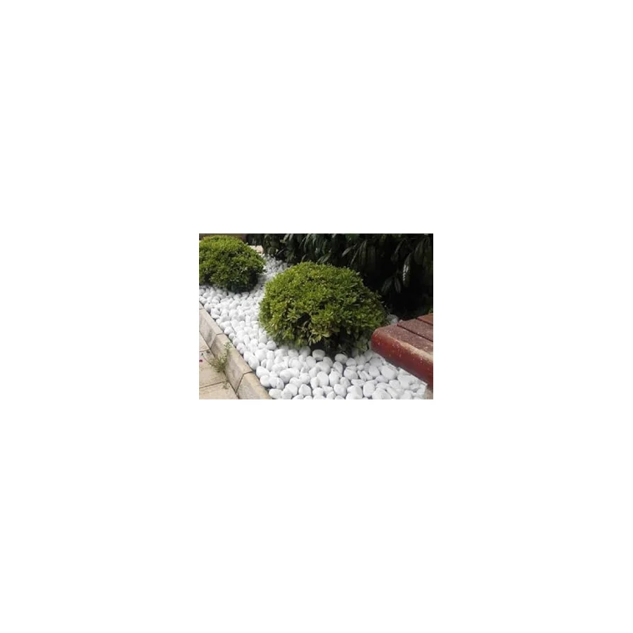 Ekodoğa Beyaz Dolomit Taş 25 Kg 4-6 Cm Dekoratif Taş Bahçe Süs Taşı Loche