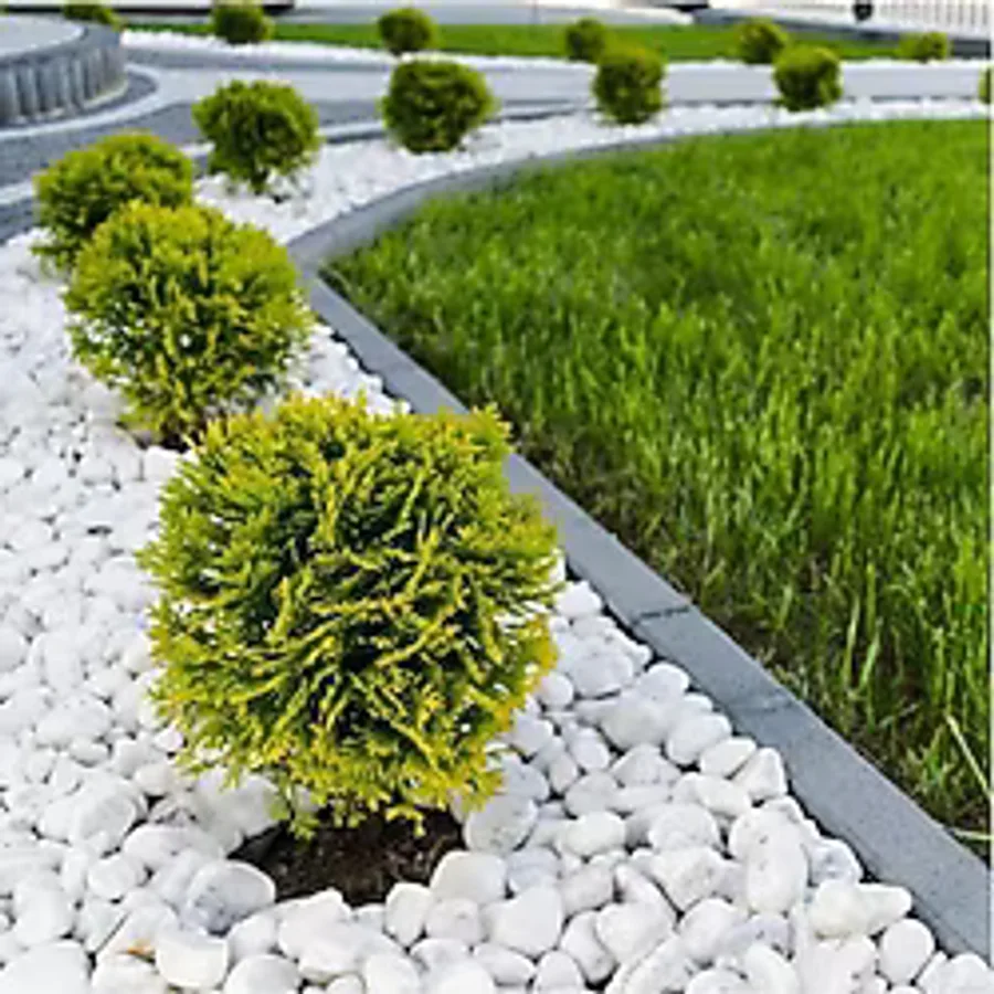 Ekodoğa Dolomit Taş 5 Kg 4-6 Cm Beyaz Dolomit Taş Saksı Dibi Dekoratif Taş Bahçe Süsleme Taşı Peyzaj Taşı
