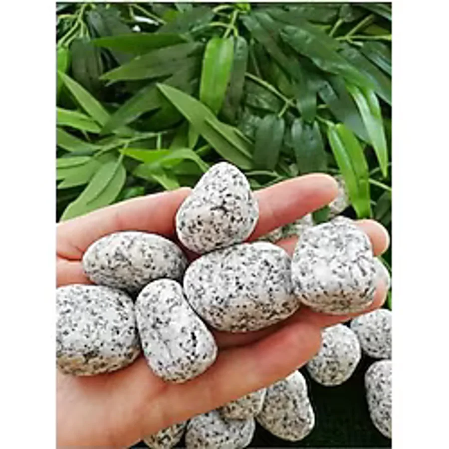Ekodoğa Granit Dolomit Taş 3 kg 2,5-4 cm Siyah Beyaz Taş Dekoratif Taş Bahçe Taşı Dekor Taşı