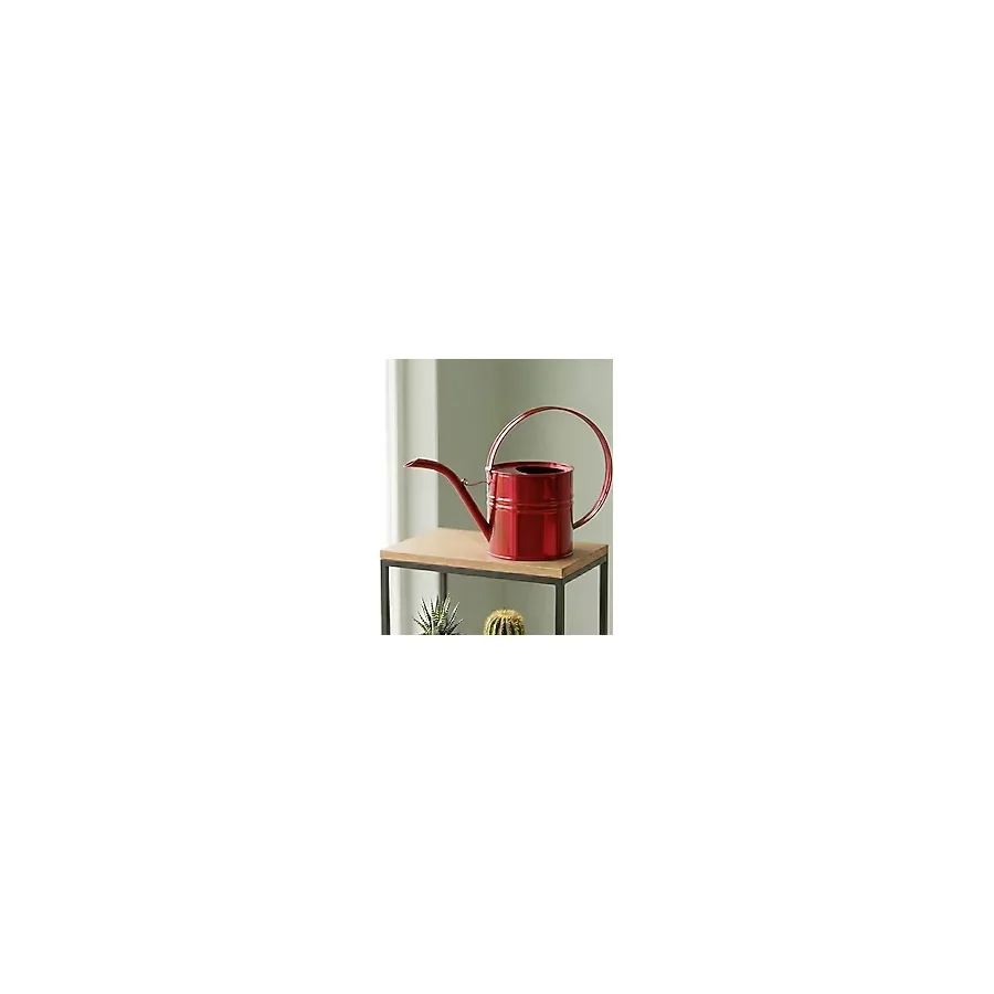 Ella 1 Litre Metal Çiçek Saksı Sulama Kabı - Modern Dekoratif Çok Amaçlı Sulak (Transparan Kırmızı)