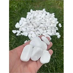 Elysian Beyaz Dolomit Taş 1kg 3-6cm Doğal Renkli Peyzaj Taşı Dekoratif Akvaryum Bahçe Süs Taşları