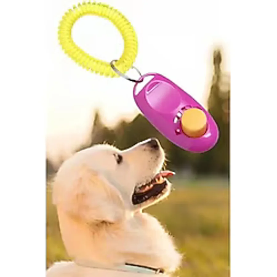 Erdo Ticaret Köpek Eğitim Clicker Aparatı - Tuvalet Eğitimi İçin